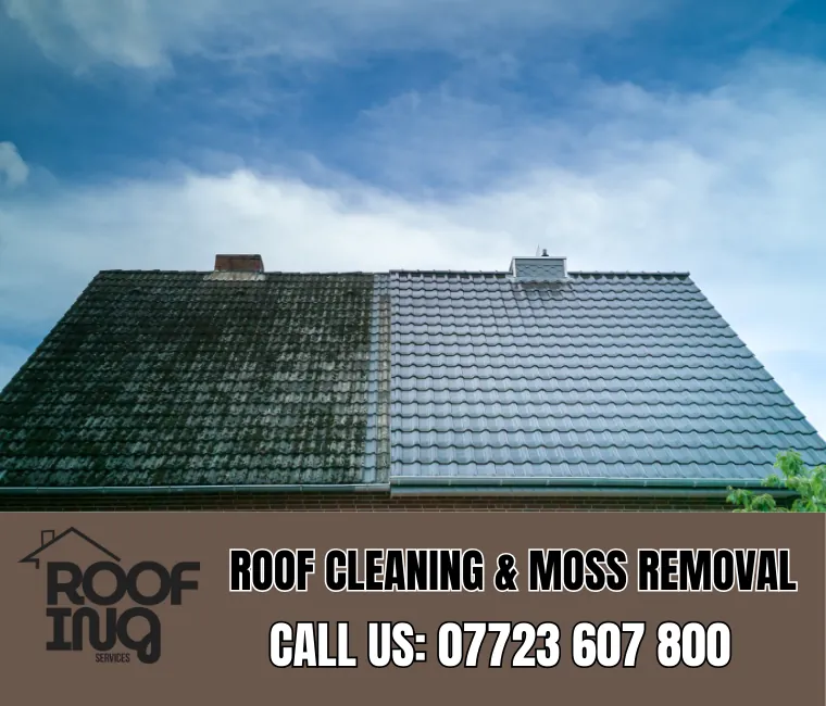 Roof cleaning and moss removal in Gorran Haven